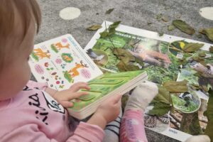 5e869921-1de7-4553-b113-f250b395fa18