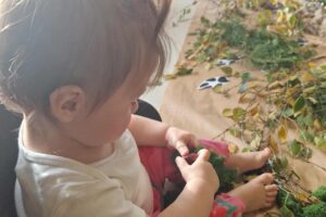 c3929d16-9b41-4802-b9e6-d32f315ef512