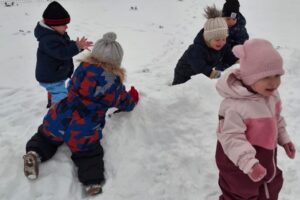 1cc5bc1b-a56d-44f1-8d43-7ec357b5c8e2