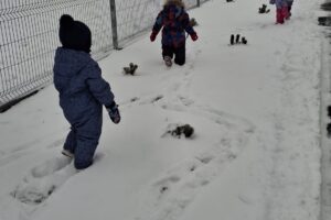 b55a38eb-ee78-4355-9cd0-bffb82f7c79b