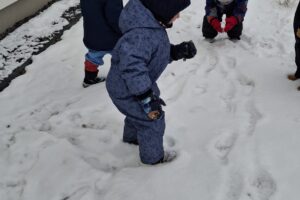 c98f1d2f-ee63-43e7-bfd3-c88e095d3044